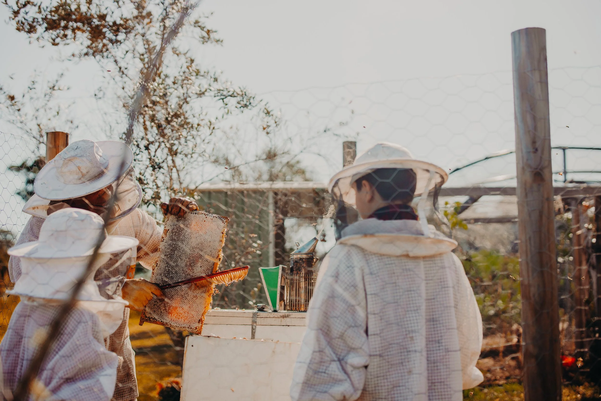 Children wearing protective beekeeping suits examining a honeycomb frame outdoors with a beekeeping tool in hand.