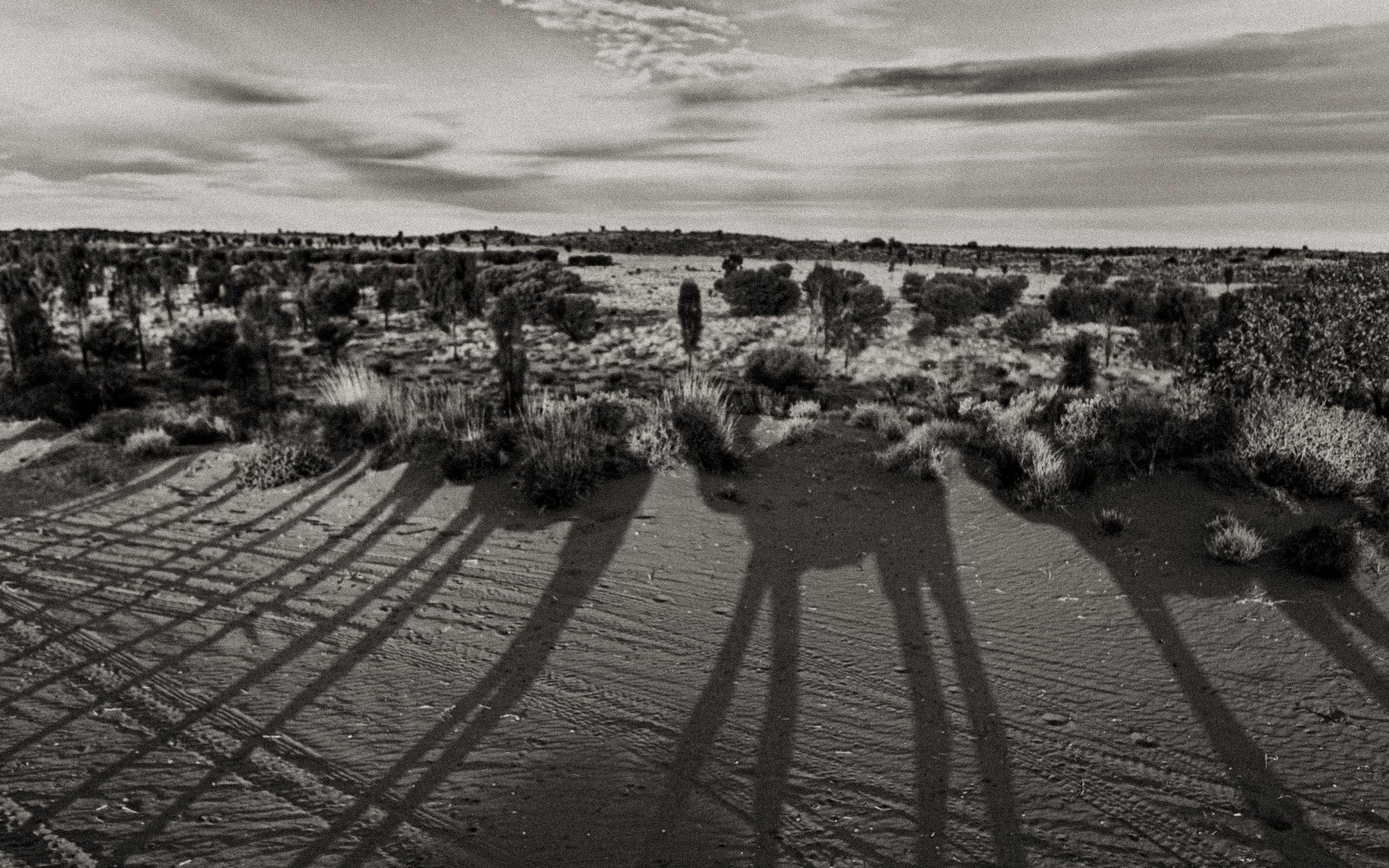 Shadow of a metal fence and two people holding hands on a desert landscape with scattered bushes and trees, under a cloudy sky.