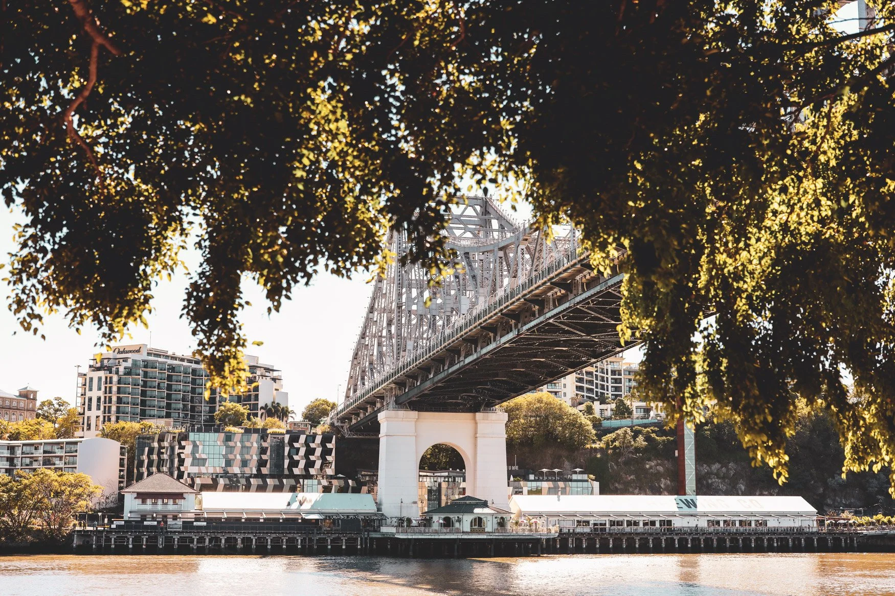 A scenic view of a bridge over a river framed by tree branches and leaves, with city buildings in the background during daylight.