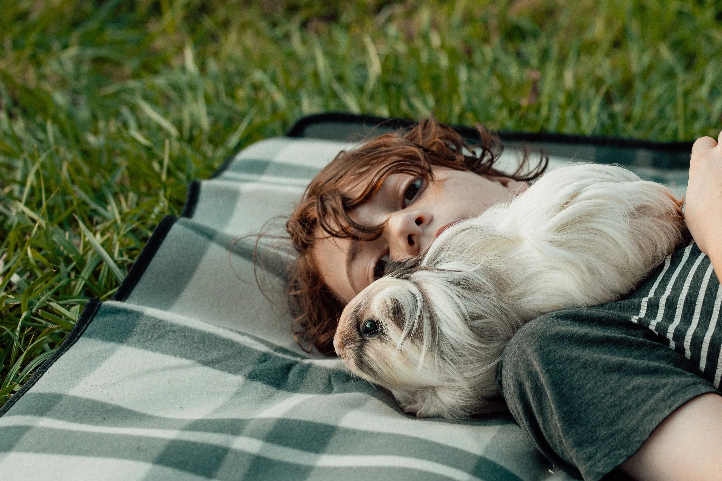 Miles Guinea Pig-10.jpg