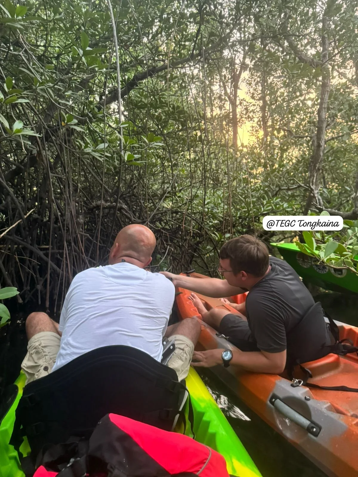 Tongkaina Mangrove Tour 1.jpeg