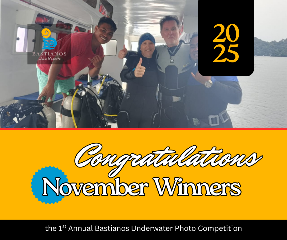 November 2025 Winners