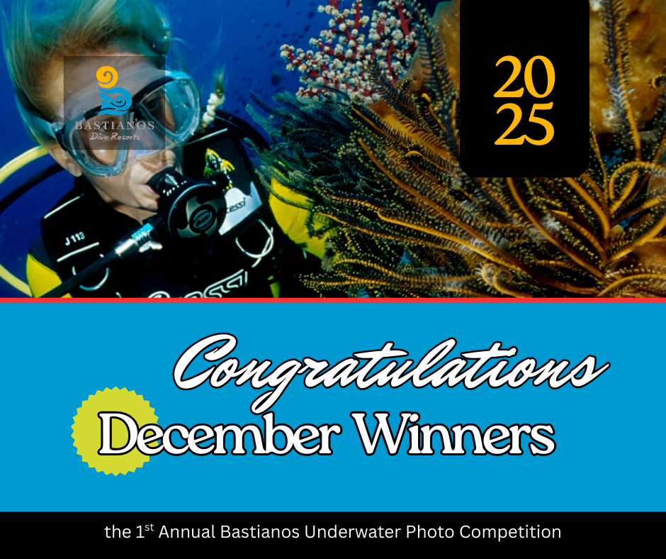 December 2025 Winners