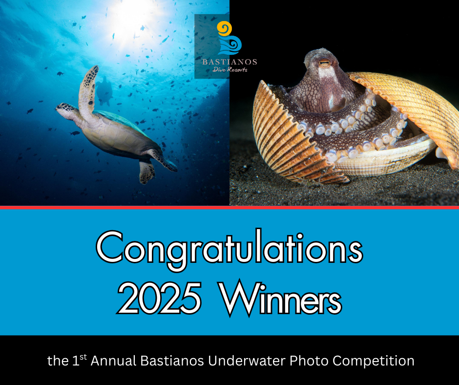 2025 Bastianos Underwater Photo Competition – Official Winners