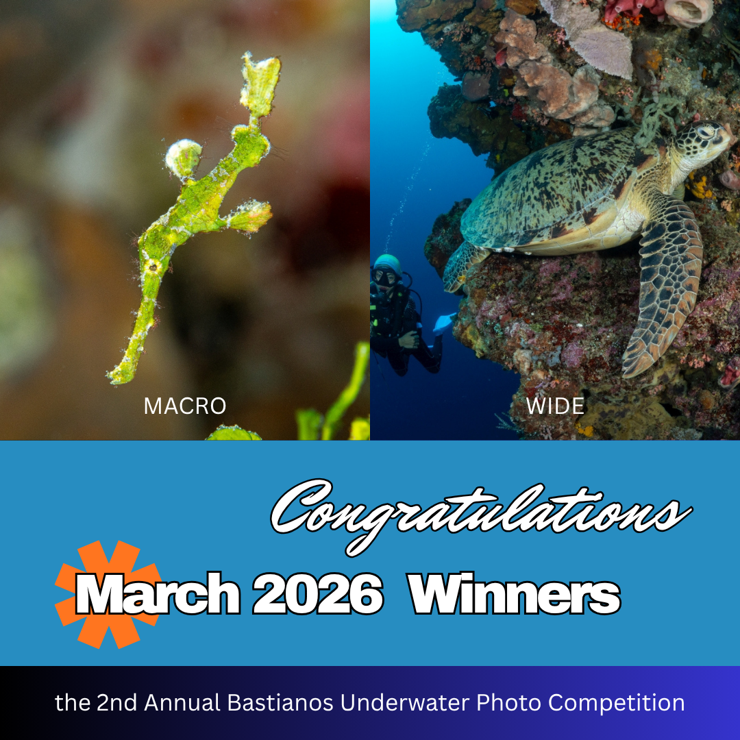 March 2026 Winners