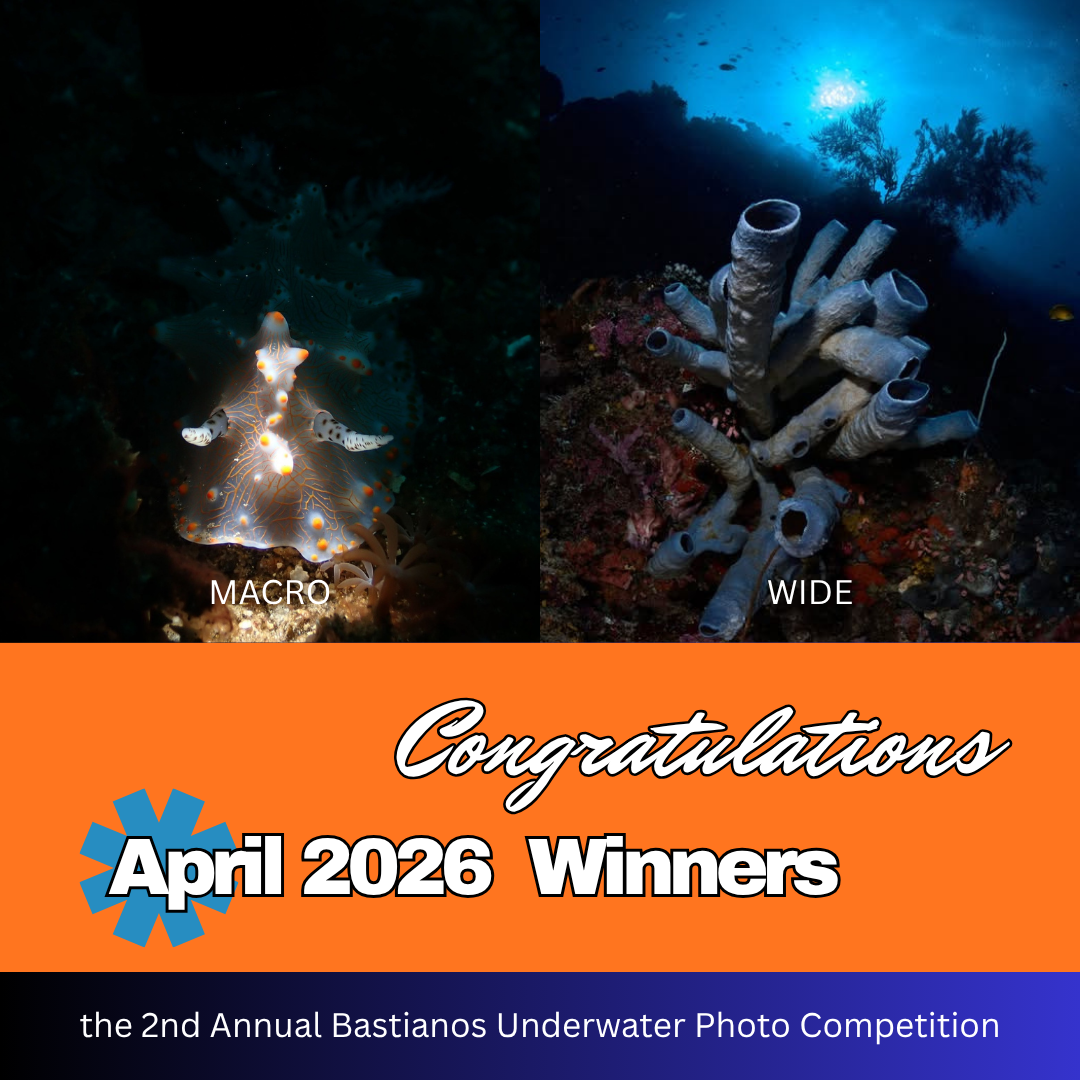 April 2026 Winners