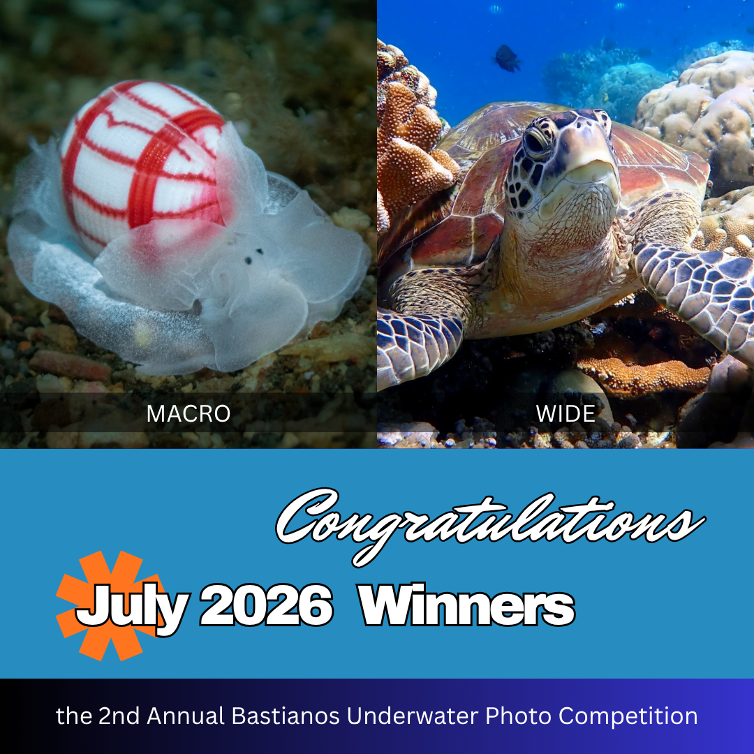 July 2026 Winners