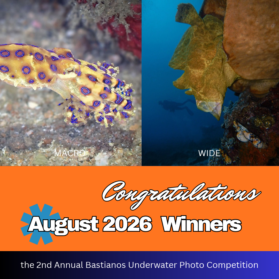 August 2026 Winners