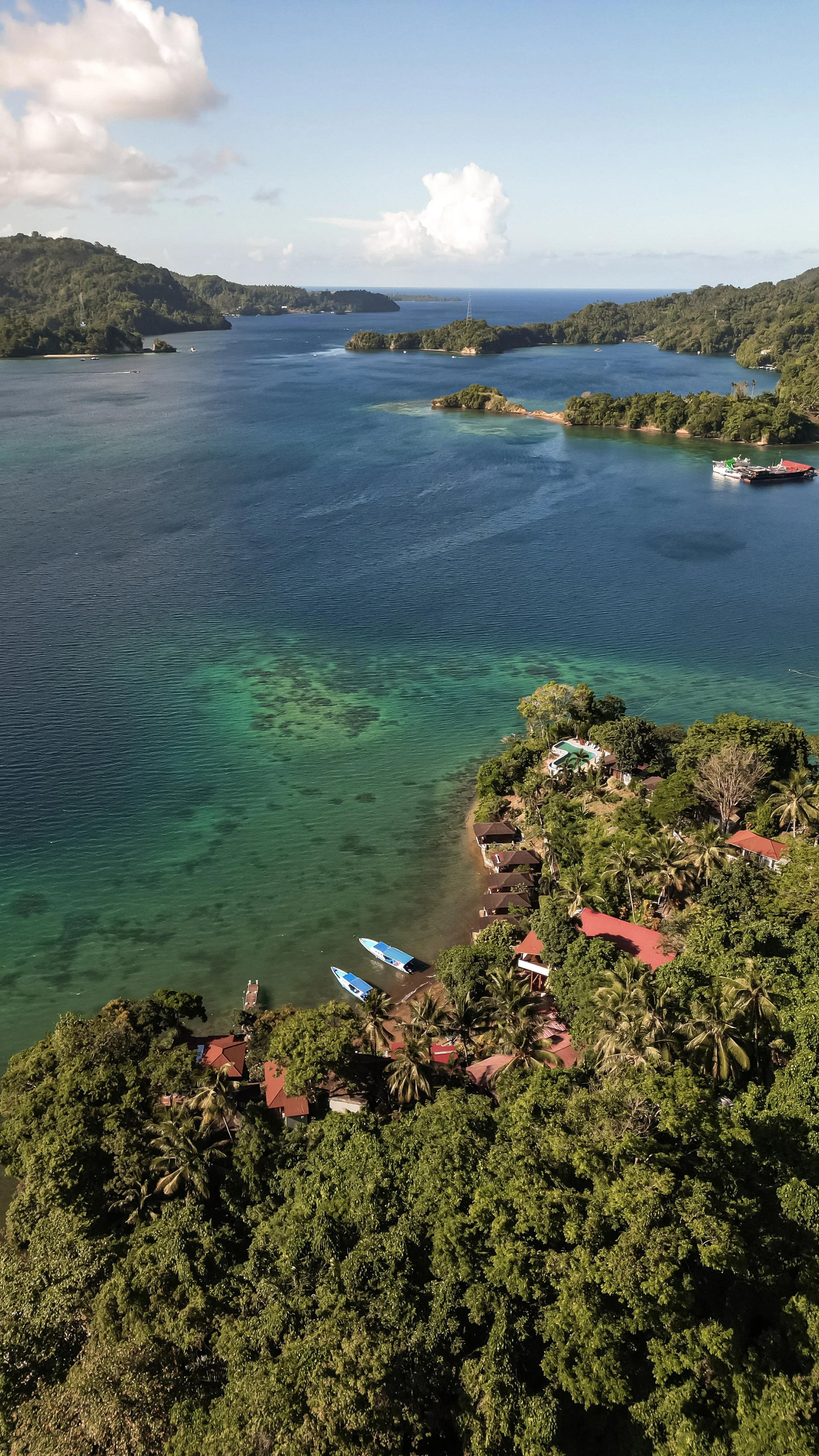 bastianos-froggies-lembeh-drone-gauthier2.jpg