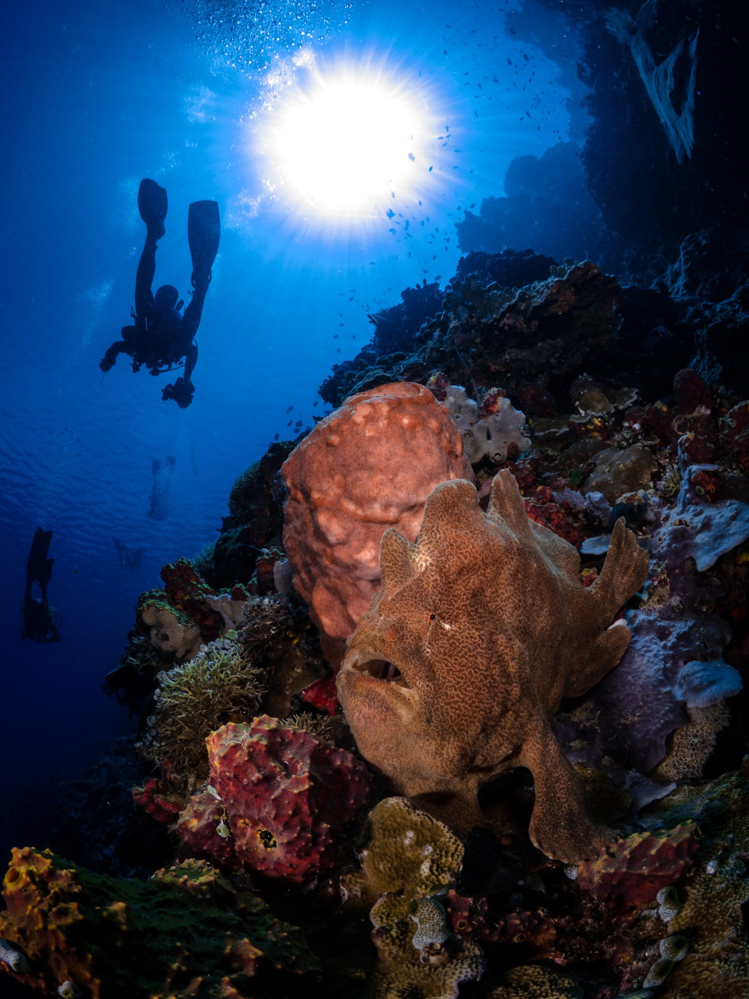 Bastianos UW 199.JPG