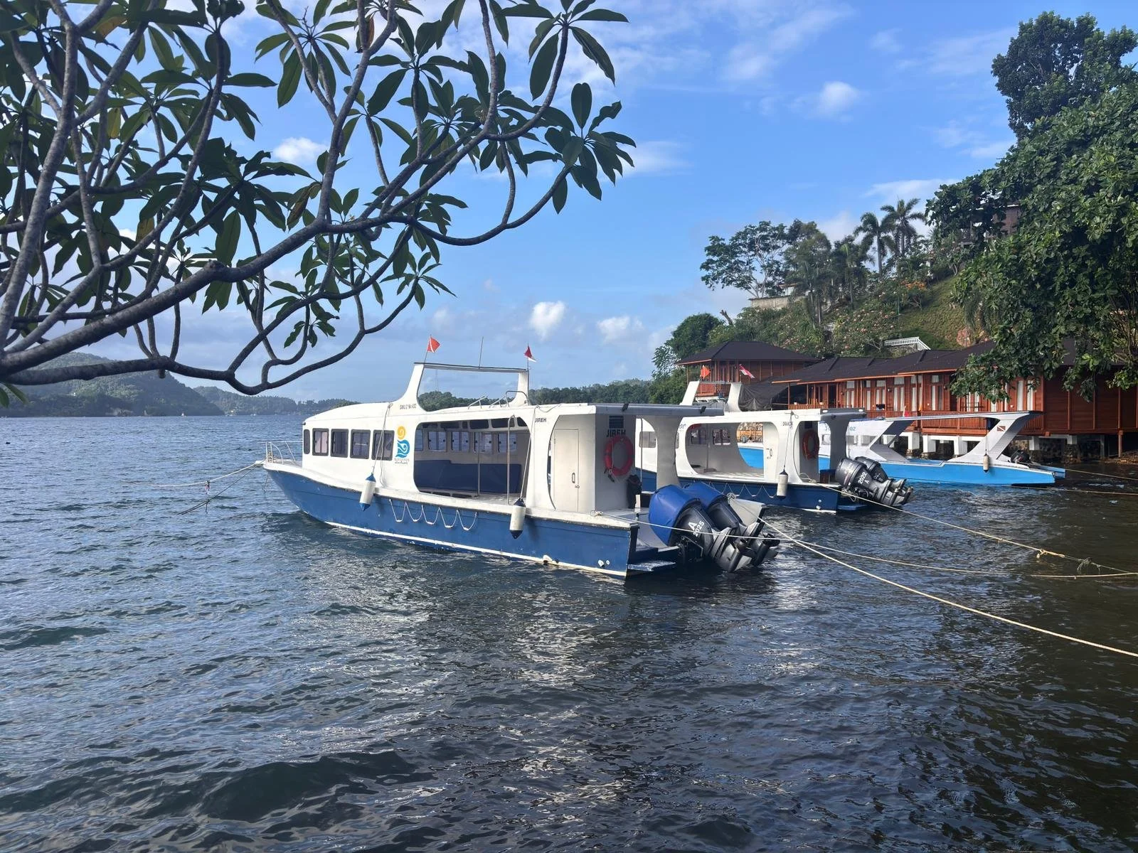 WhatsApp Image 2026-03-17 at 16.27.19.jpeg