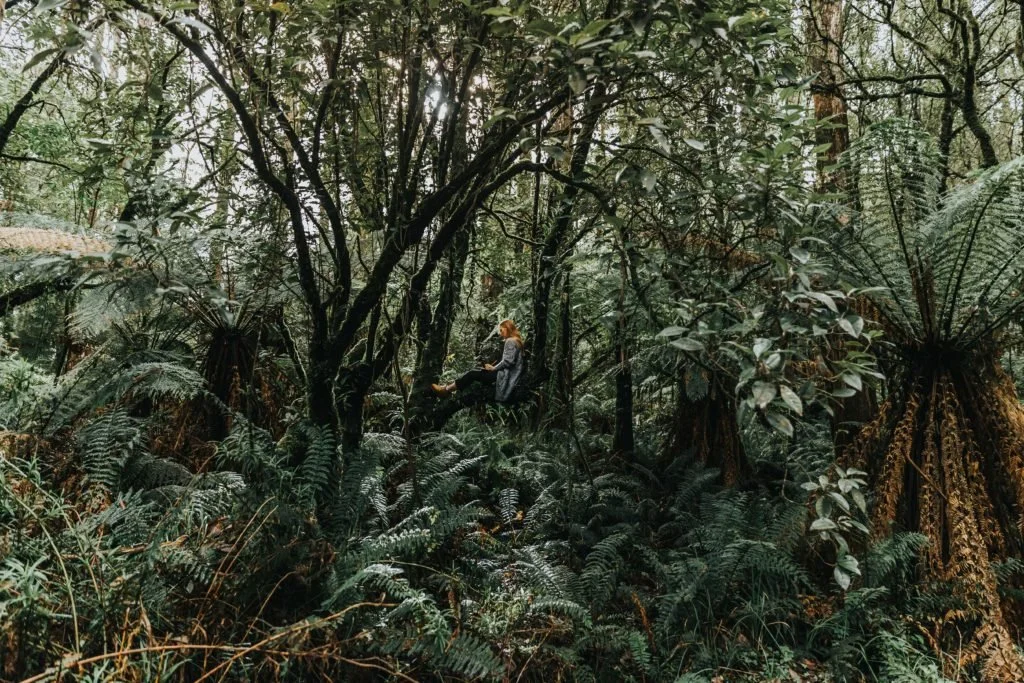 A little gypsy song – release