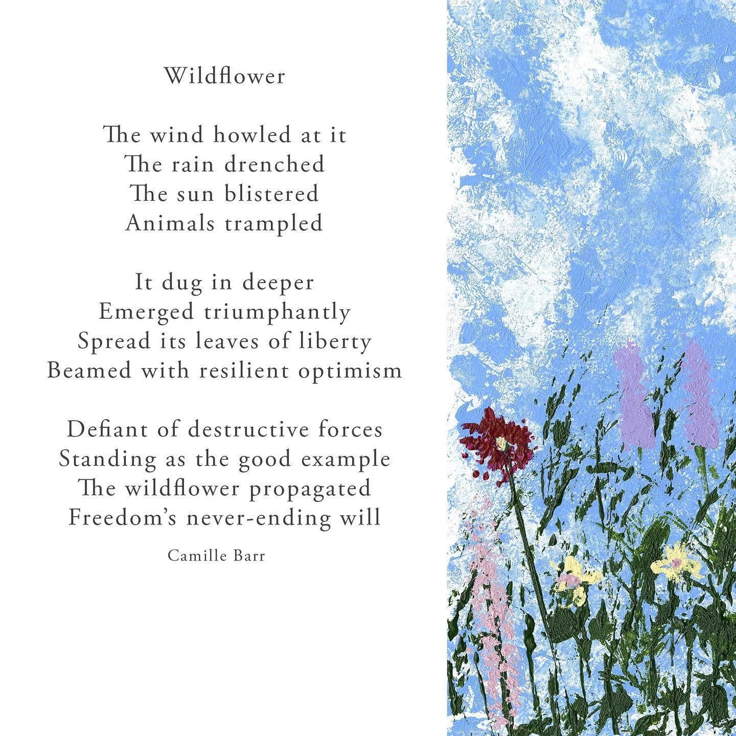 Wildflower