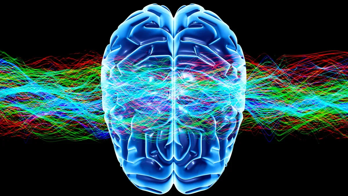 Why you need P.I before you invest in A.I