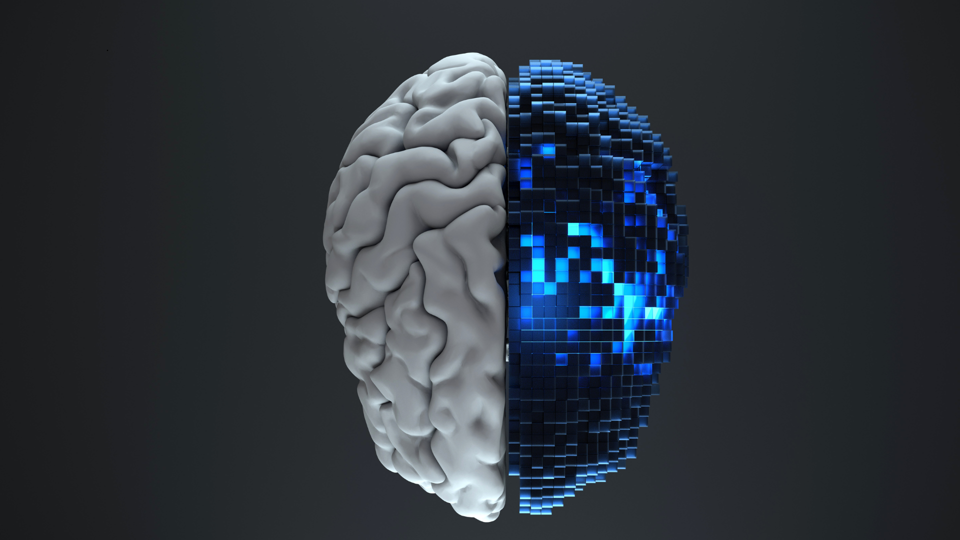 Why you need P.I before you invest in A.I
