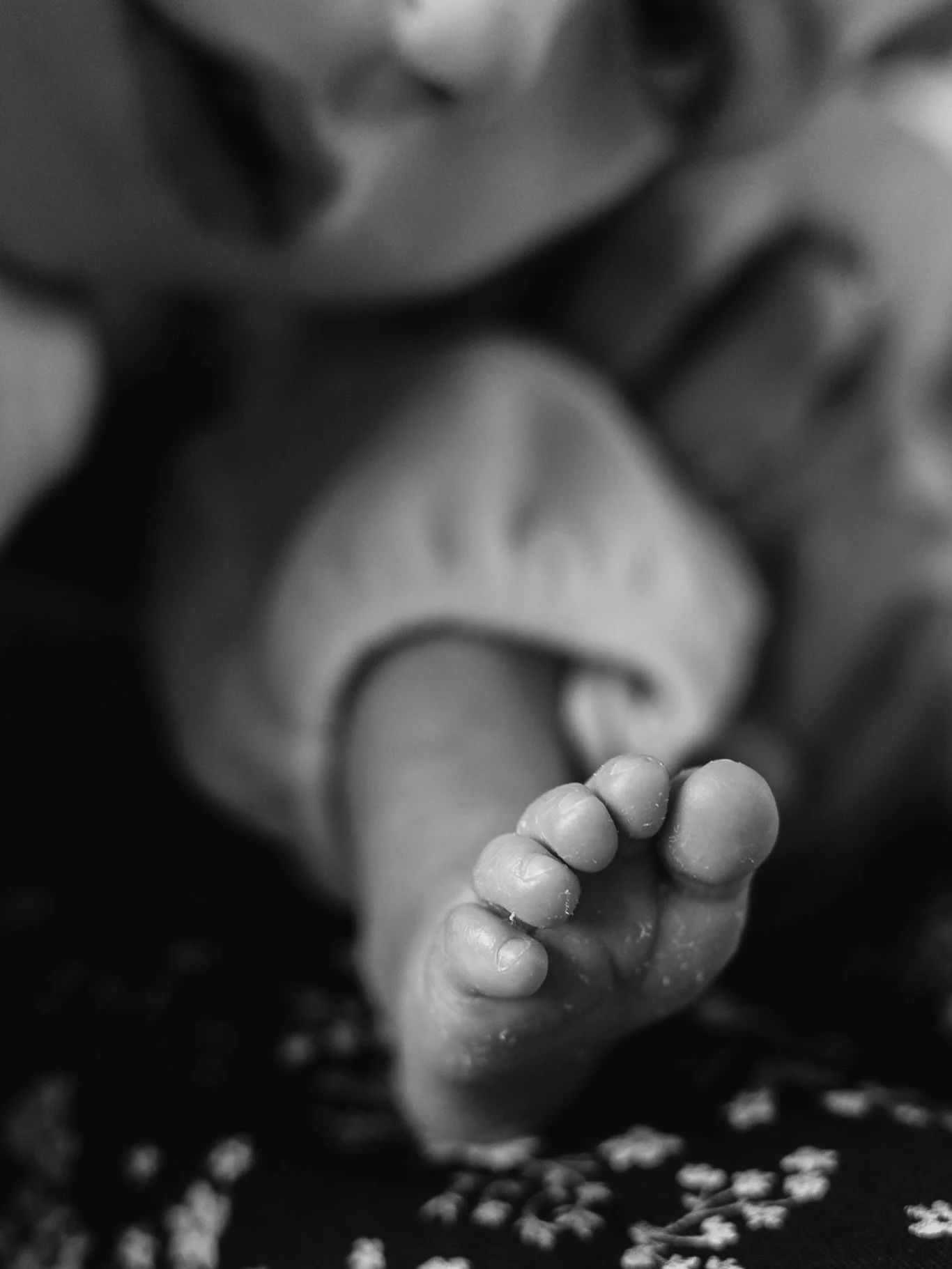 Some black &amp; white moments from a recent in-home family session 🤍

There&rsquo;s something so special about capturing your family in the place you feel most yourselves. I&rsquo;d absolutely love to do more of these relaxed, at-home shoots&mdash;