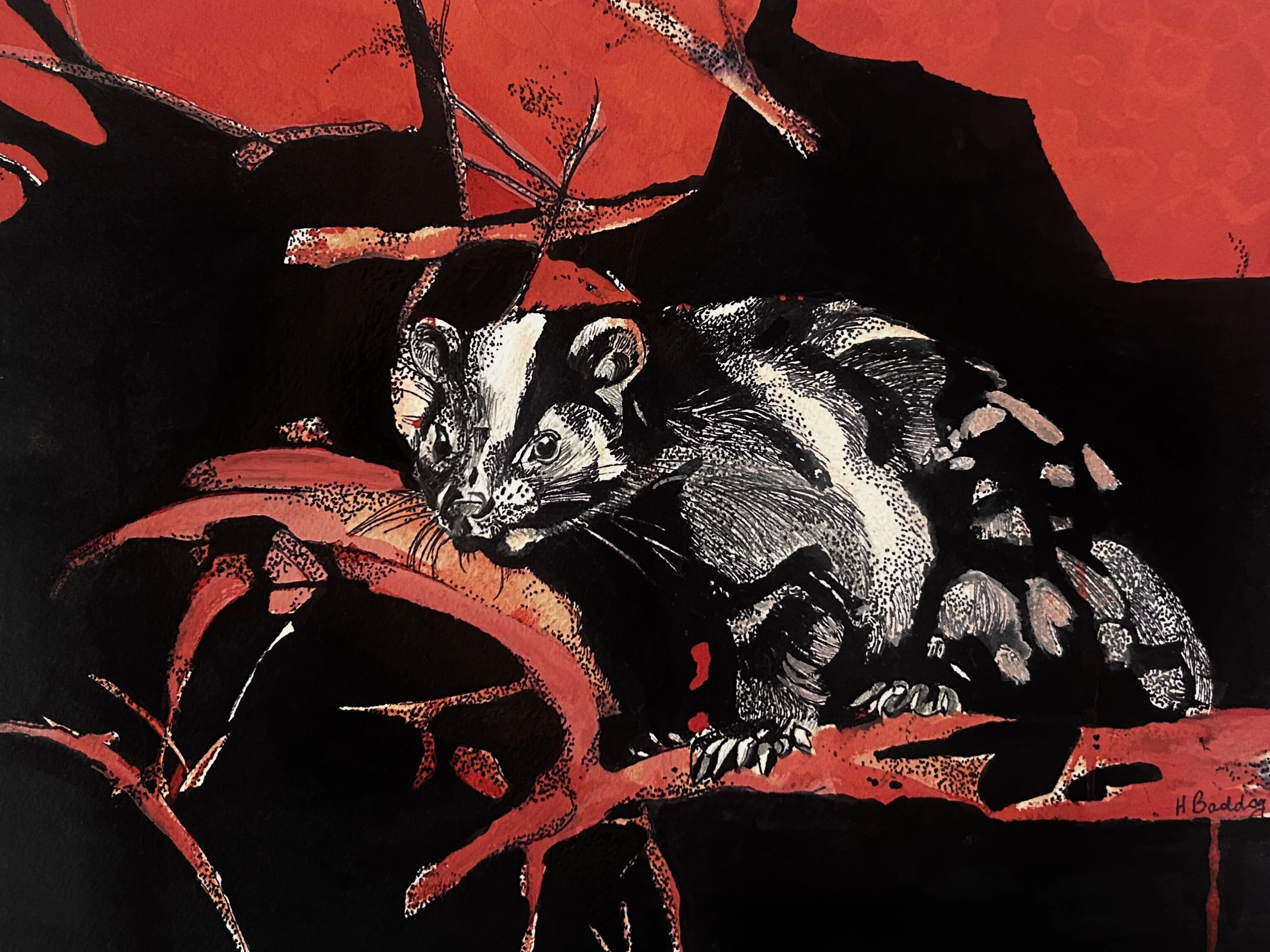 Nocturnal Mammal #4 Spotted Skunk:Gouache:Ink:11x14:2025.jpg