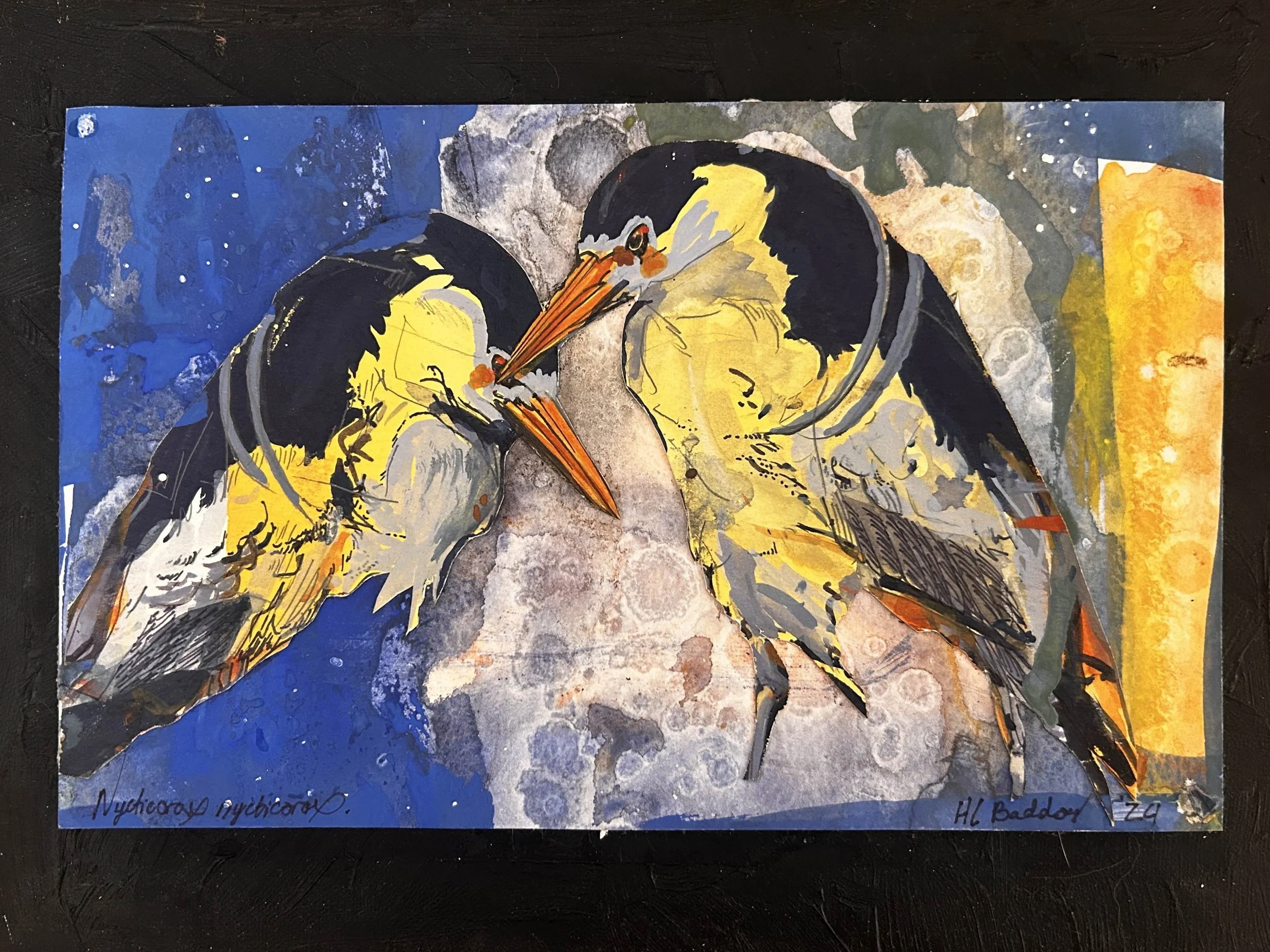 Nycticcorax nycticcorax.Gouache:11x14:2024.jpeg