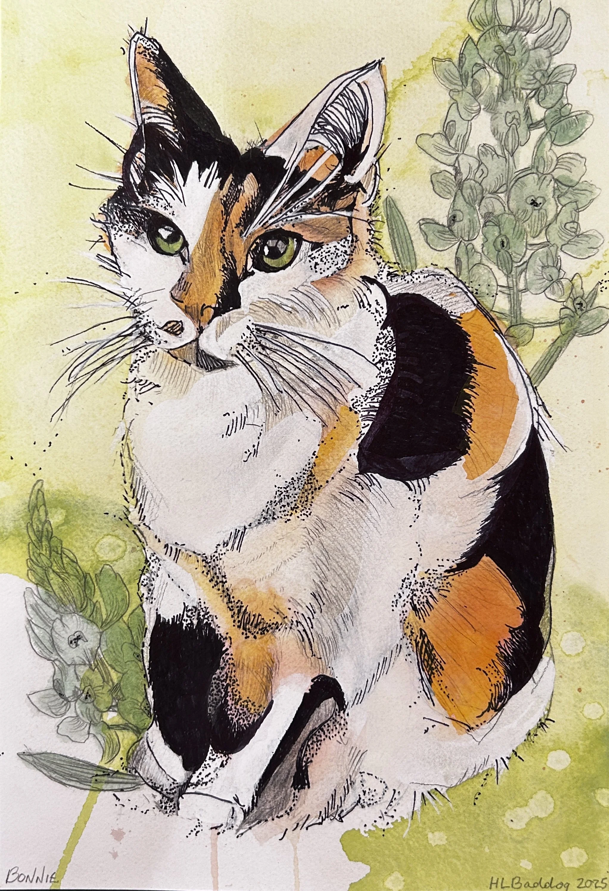 Bonnie:Gouache:Ink:Pencil:11x14:2025.jpg
