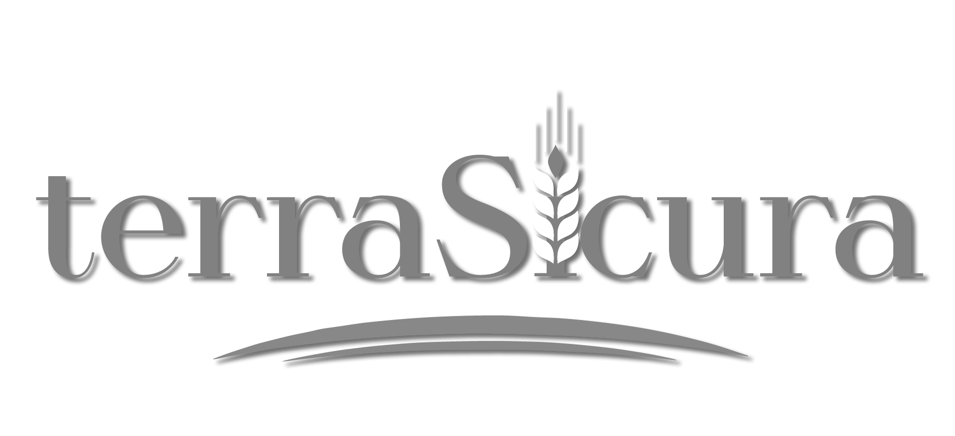 Gray logo for TerraSanta showing the words 'terra' and 'santa' with a stylized wheat stalk above the letter 's' and a curved line beneath
