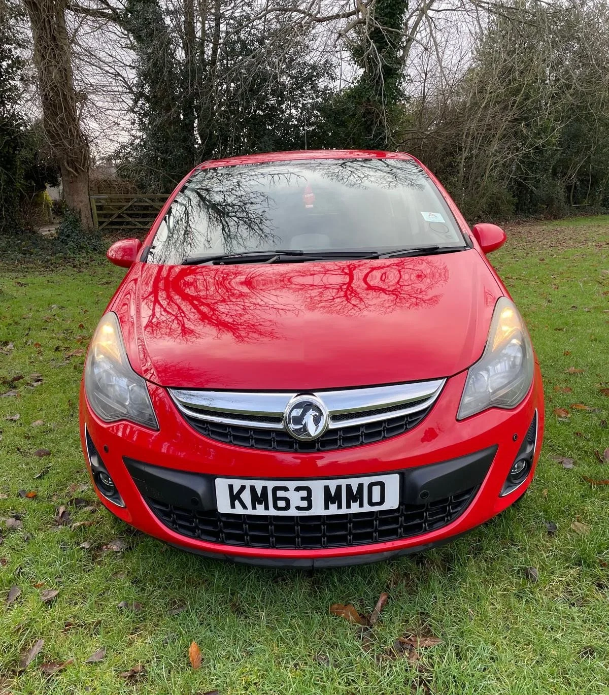 WhatsApp Image 2026-01-25 at 19.48.02 (1).jpeg