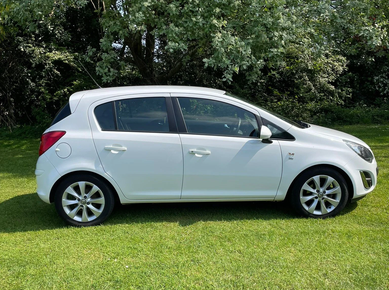 WhatsApp Image 2026-04-27 at 18.18.09.jpeg