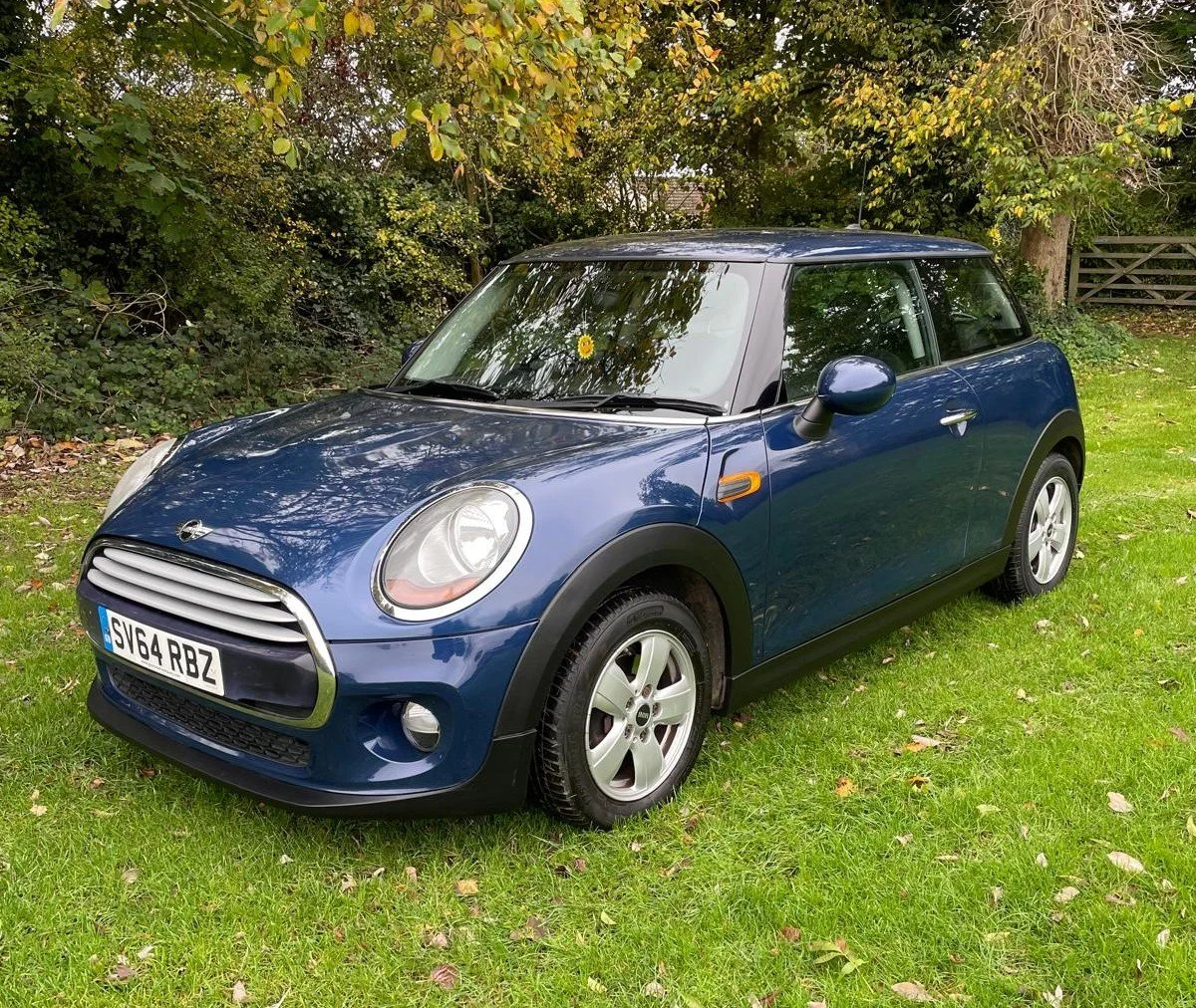 Mini, 3 Doors in Blue  - £4,250