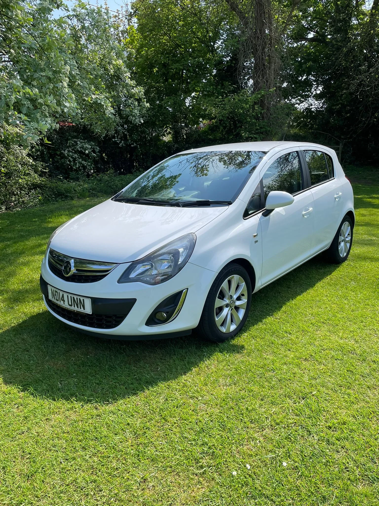 WhatsApp Image 2026-04-27 at 18.18.13.jpeg