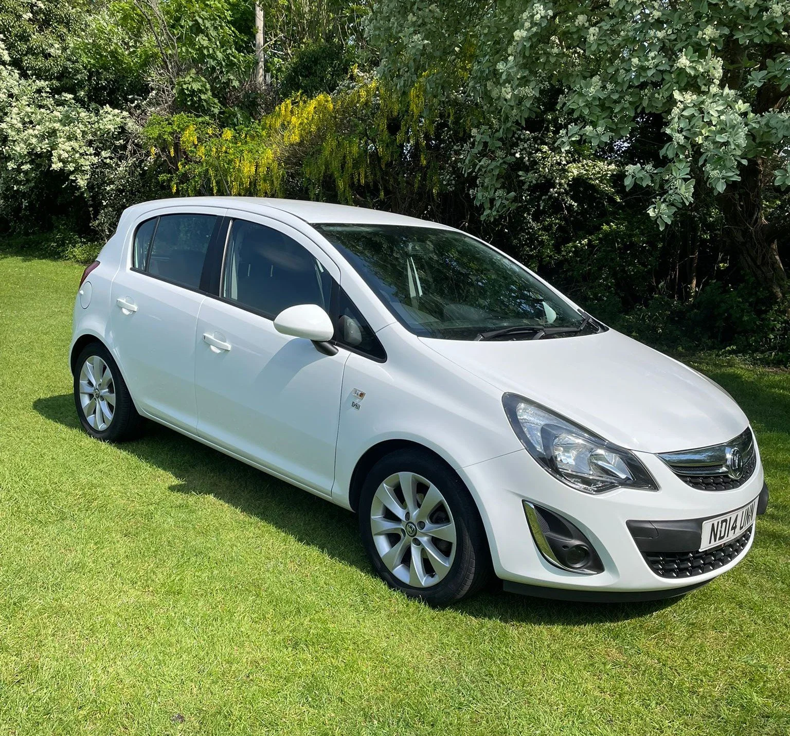 WhatsApp Image 2026-04-27 at 18.18.10 (3).jpeg