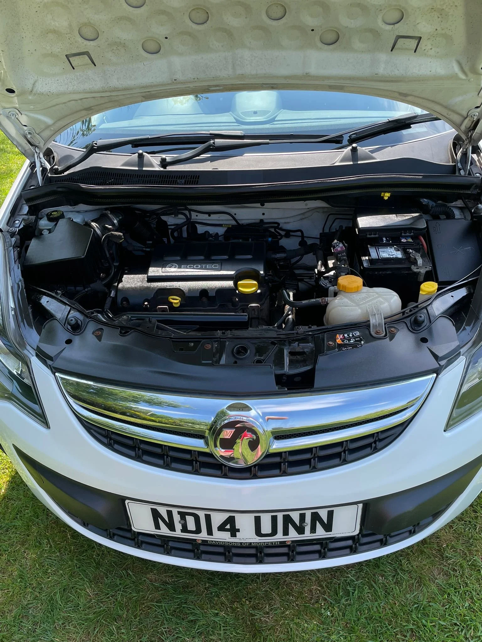 WhatsApp Image 2026-04-27 at 18.18.11.jpeg