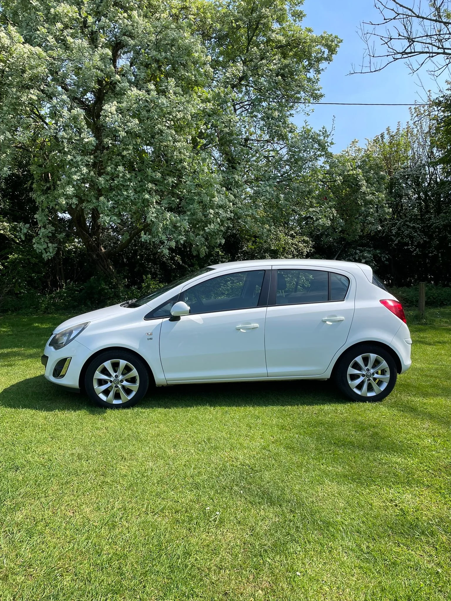 WhatsApp Image 2026-04-27 at 18.18.12 (6).jpeg