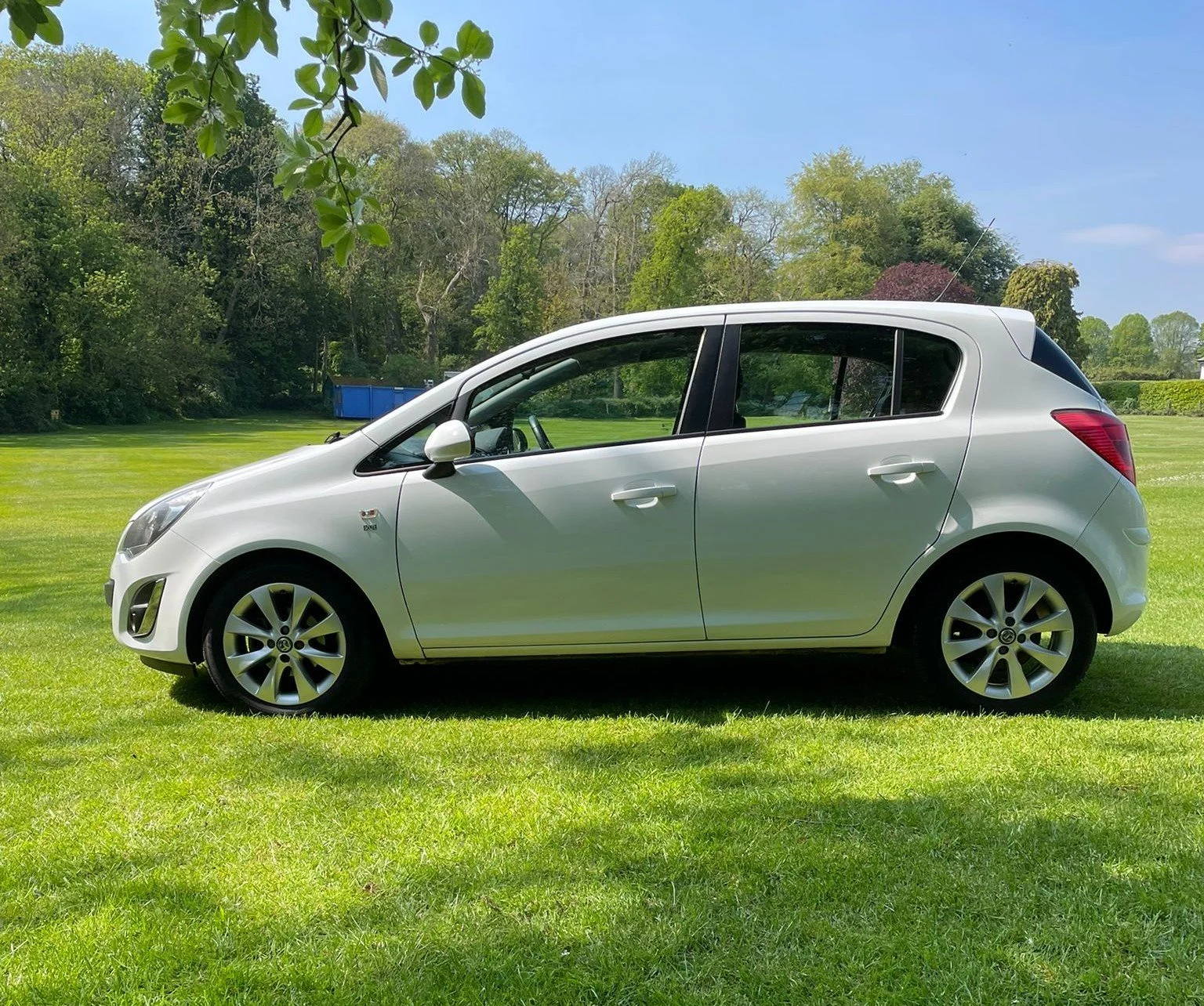 WhatsApp Image 2026-04-27 at 18.18.10 (1).jpeg