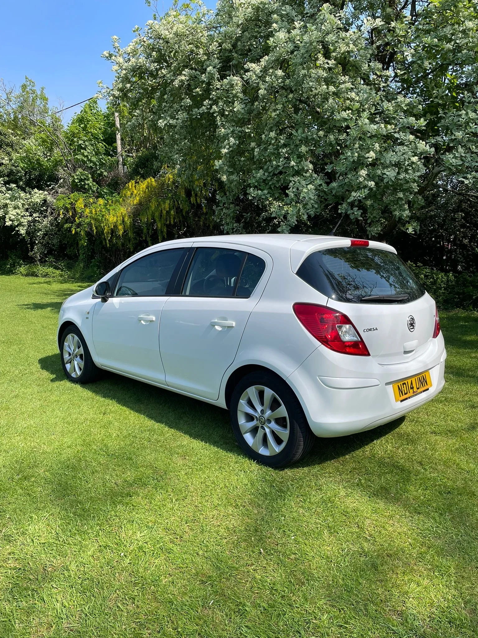 WhatsApp Image 2026-04-27 at 18.18.12 (5).jpeg