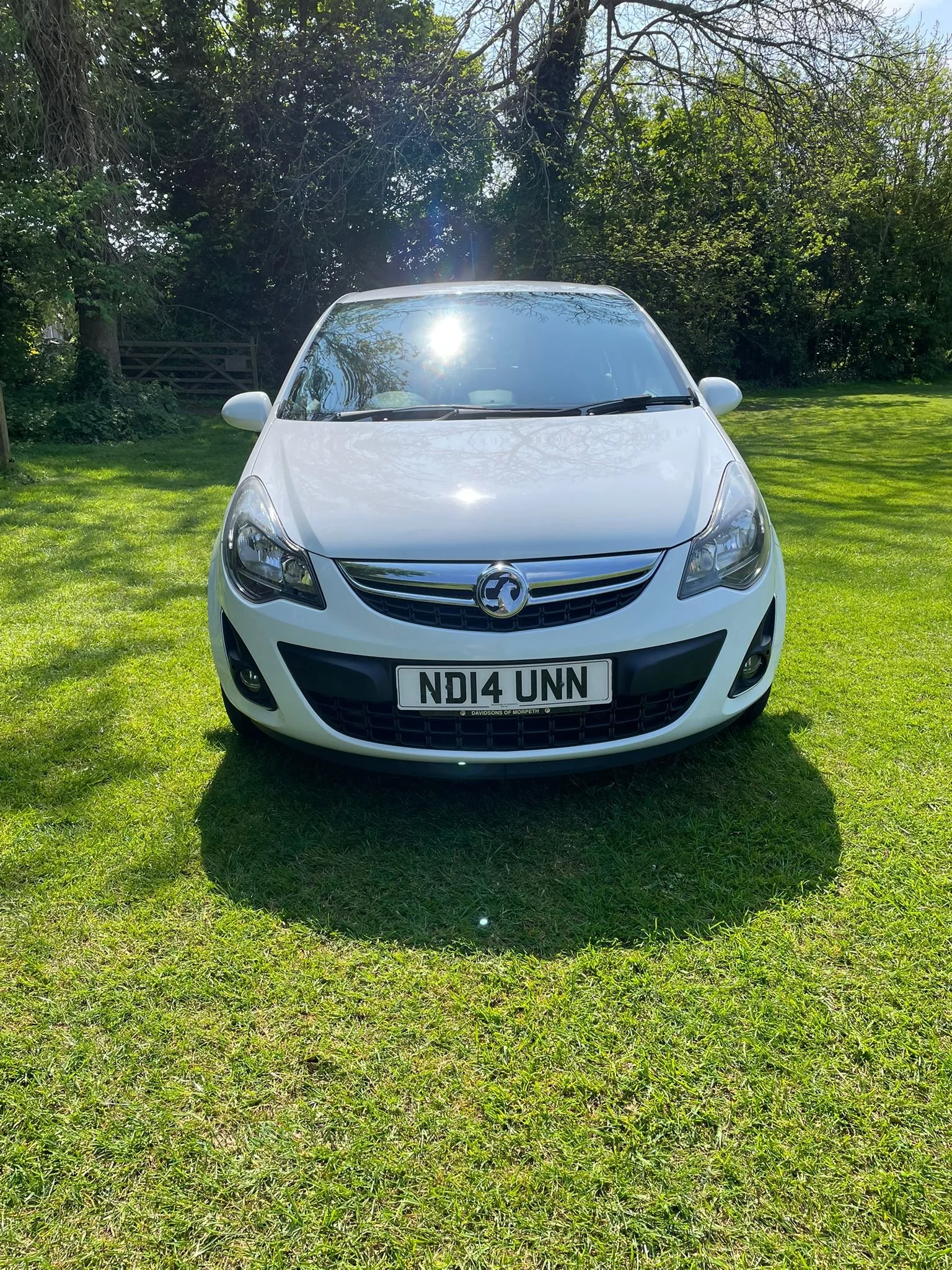 WhatsApp Image 2026-04-27 at 18.18.13 (1).jpeg