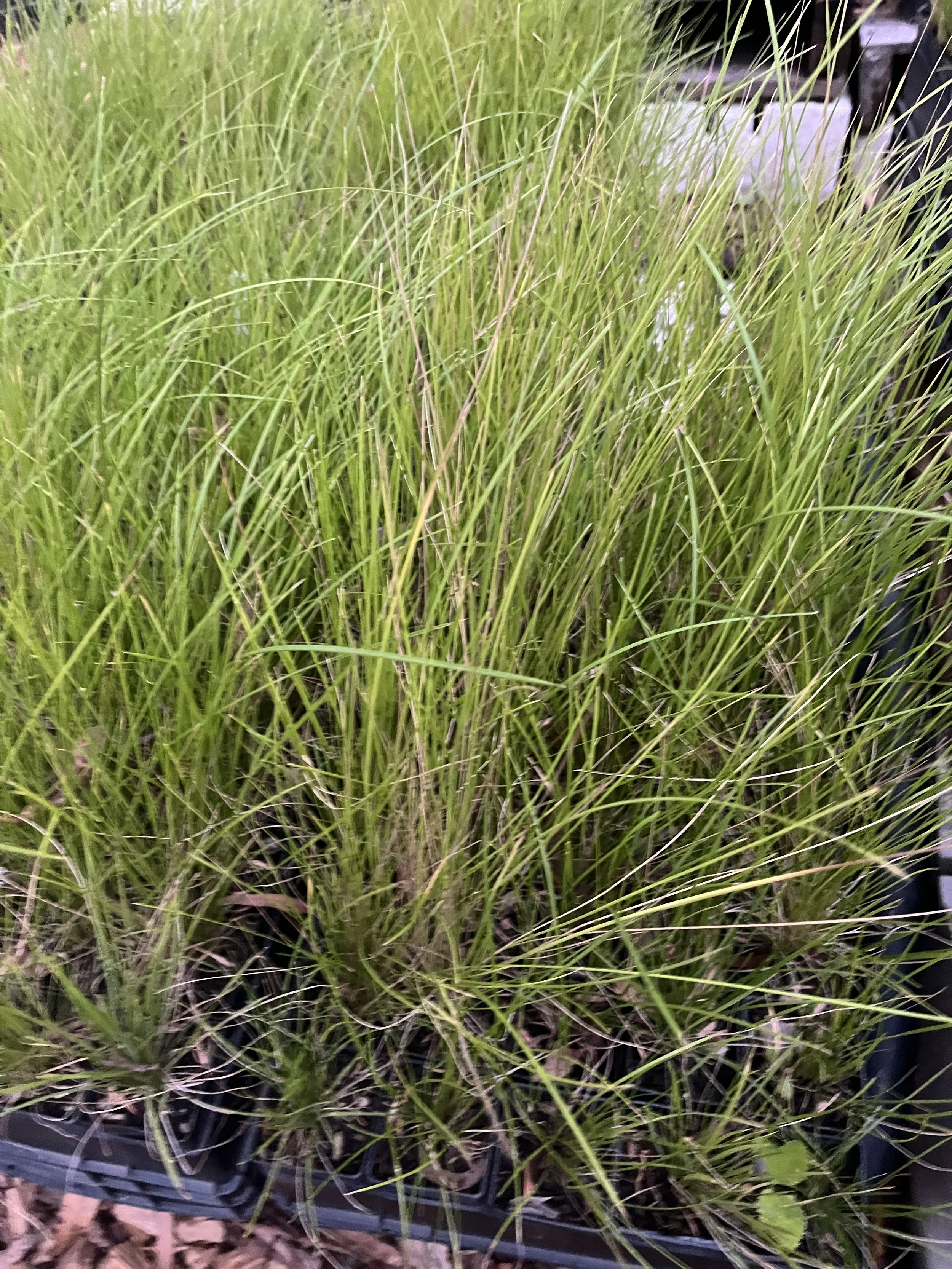 2026-02-25 20.02.52.jpg