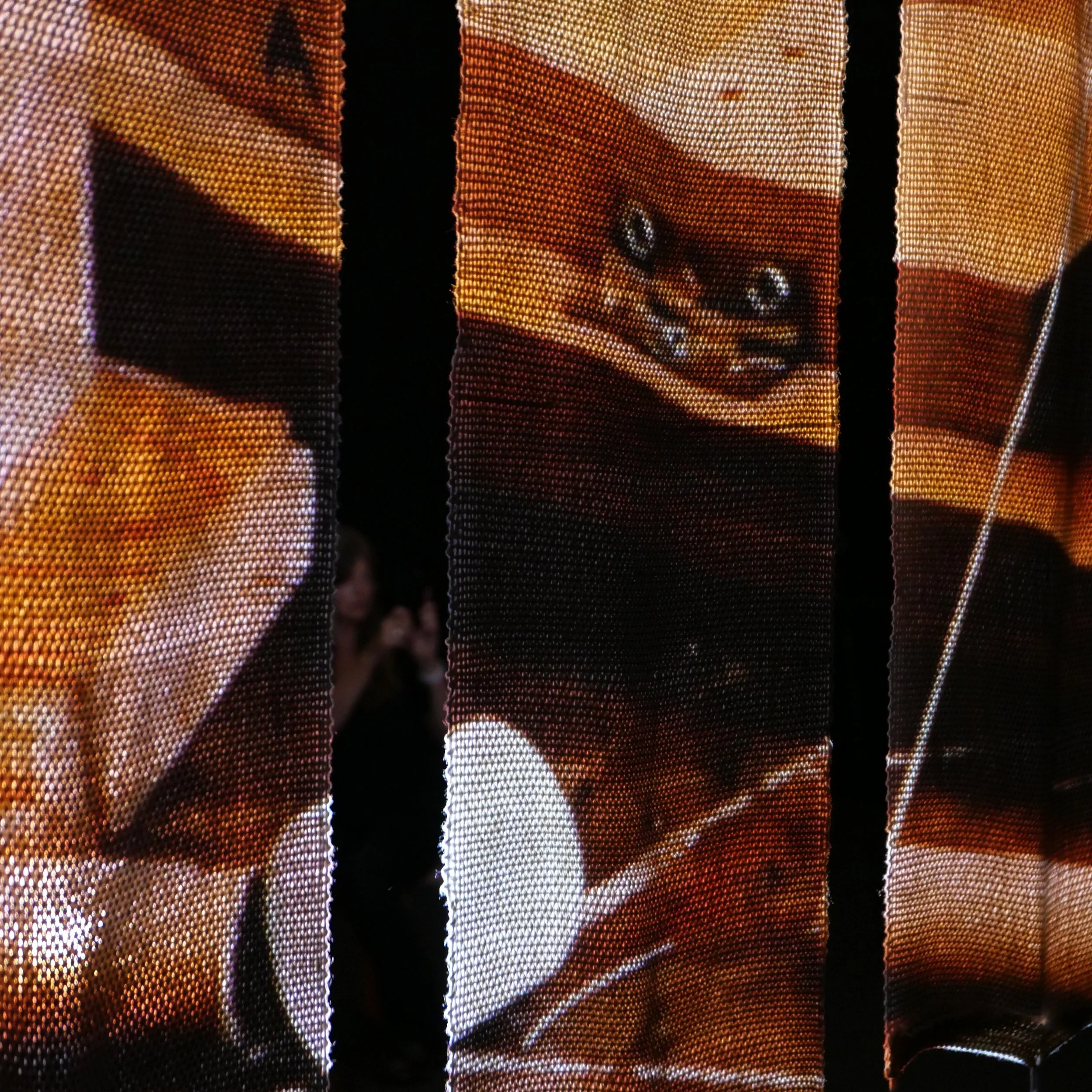 L1002512.jpeg