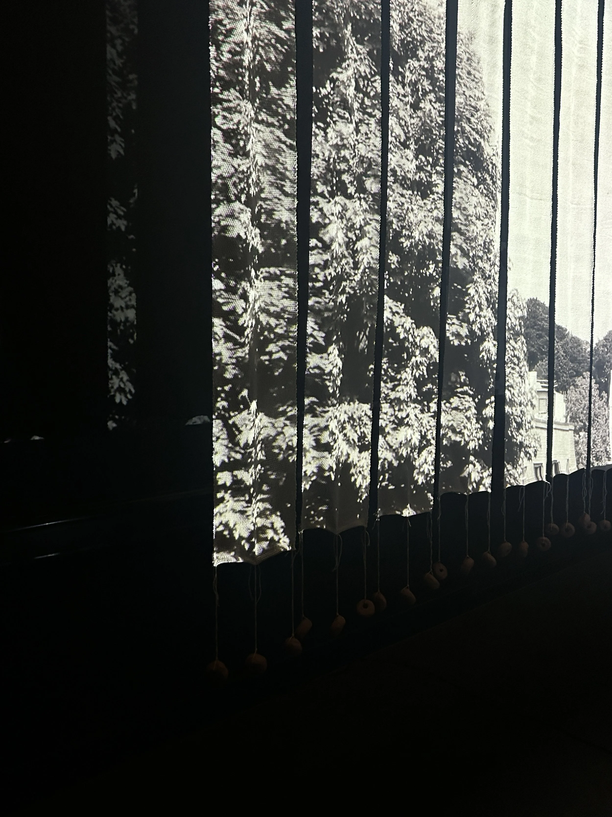 IMG_7612.jpeg