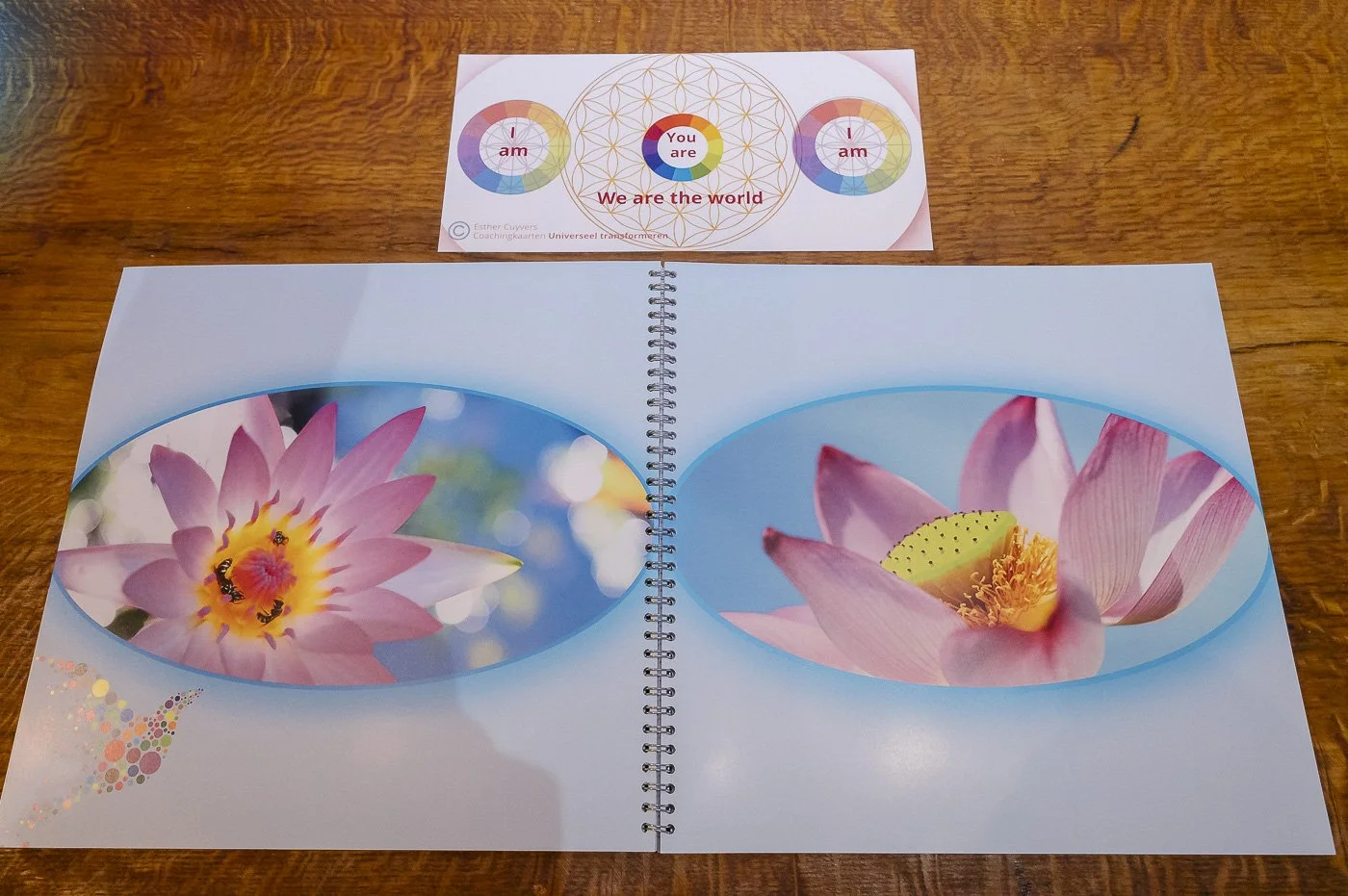 zielslicht model 1.jpg