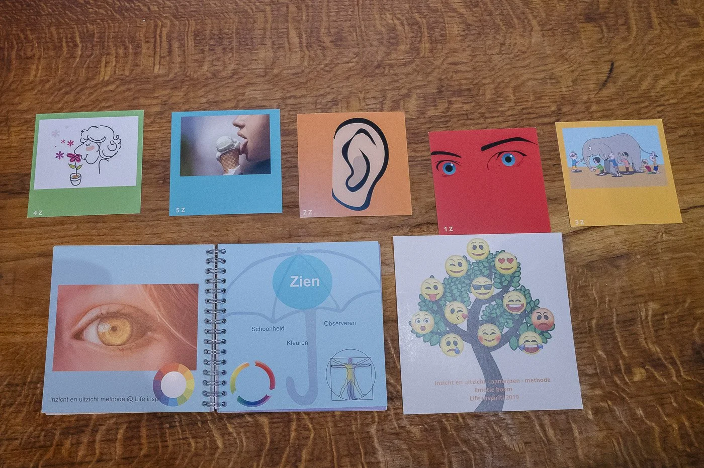 EEFB ontwikkeling 1.jpg