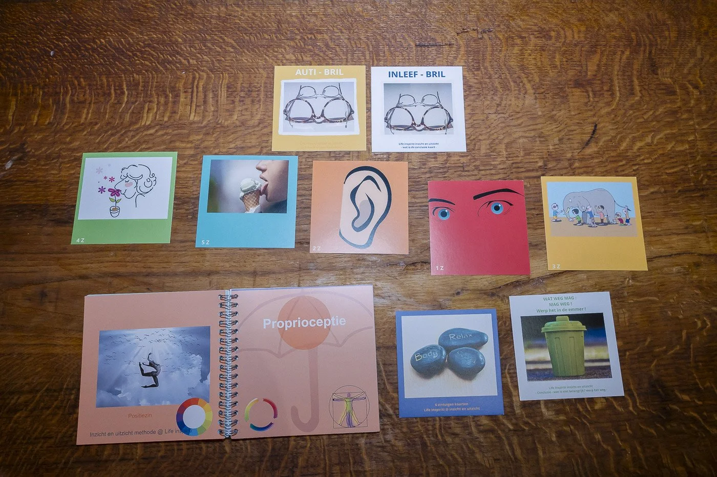 EEFB ontwikkleing 3.jpg