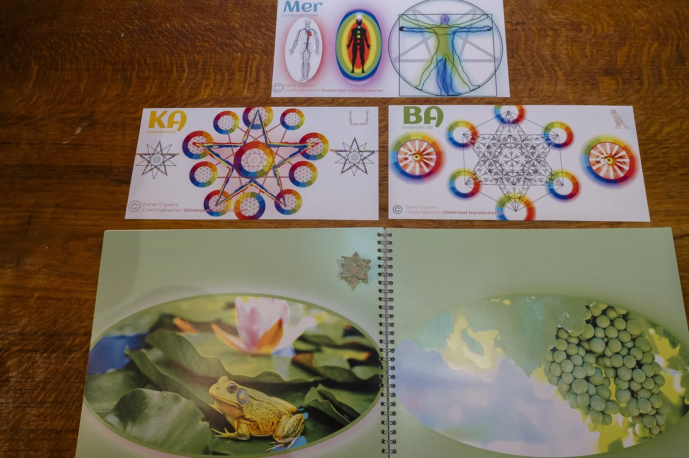 zielslicht model.jpg