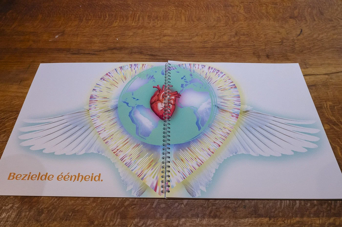 EEFB KLeurenvogel 1.jpg