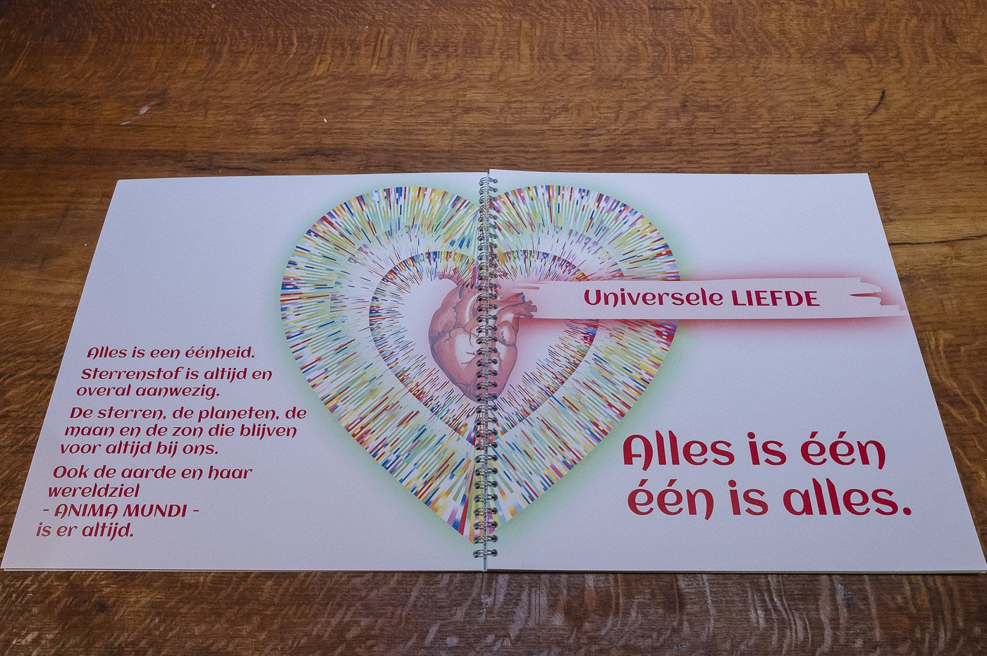 EEFB Kleurenvogel 3.jpg