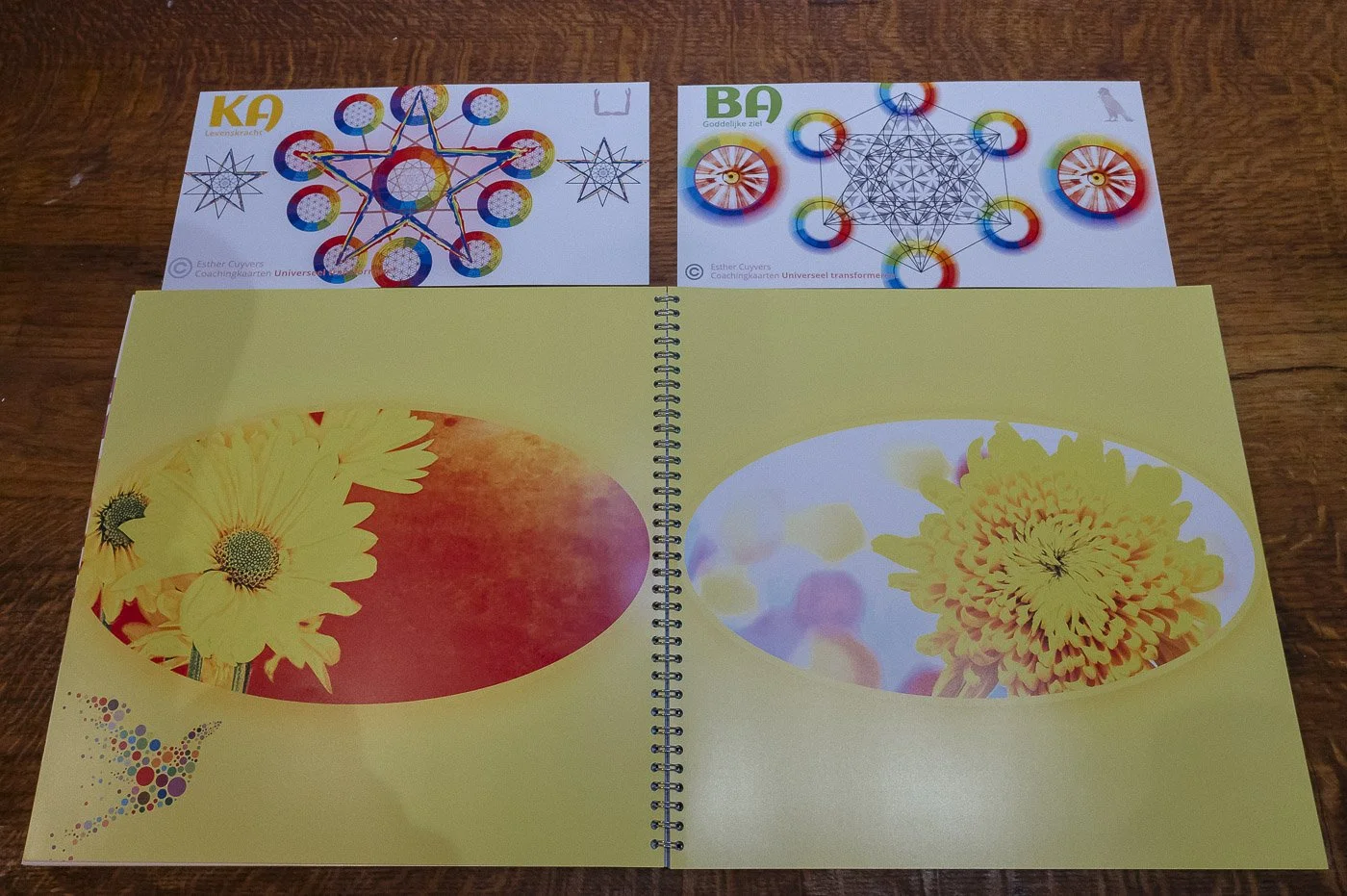 zielslicht model 2.jpg