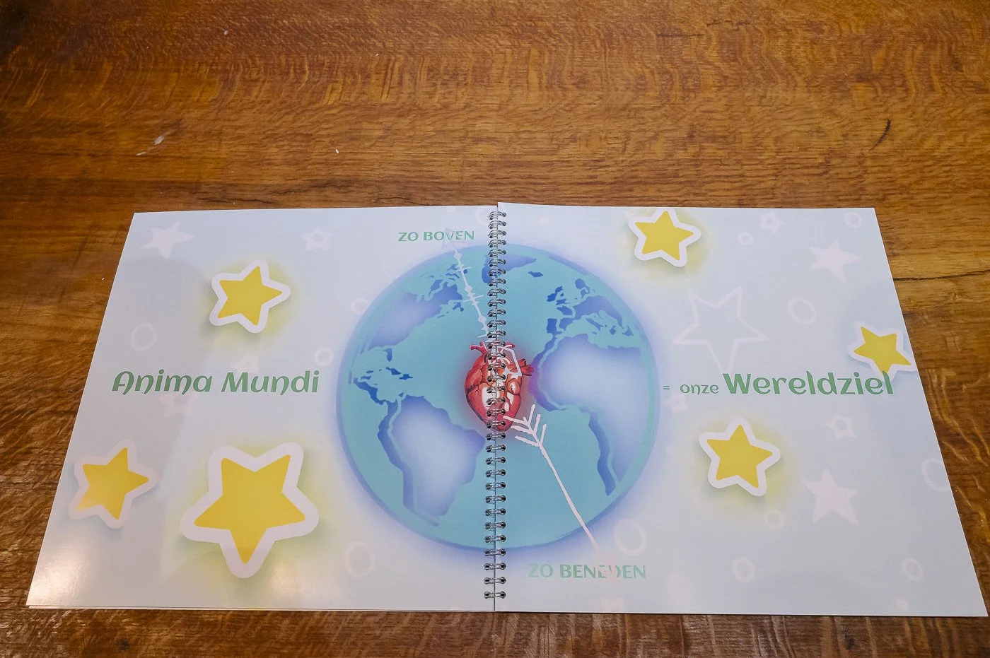 EEFB Kleurenvogel 2.jpg