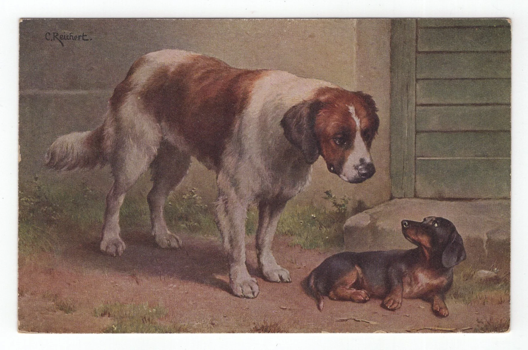 【中古】 The　dog　postcard　collection（’06） The Dog Poster Book: Artlist Collection by Scholastic