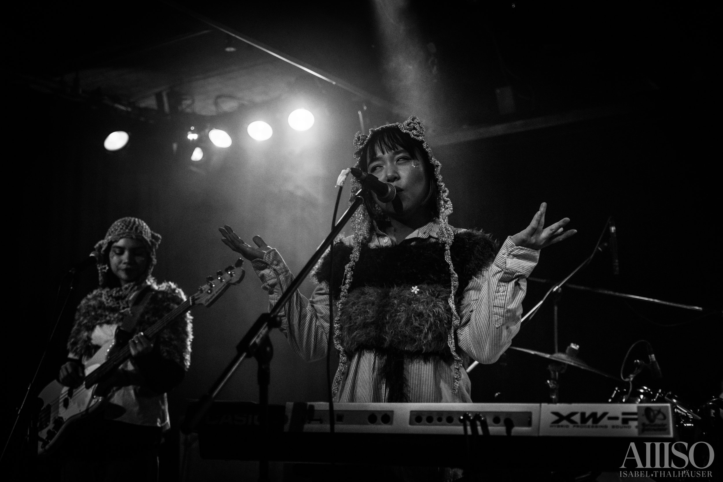 Horizontaler Gentransfer.jpg