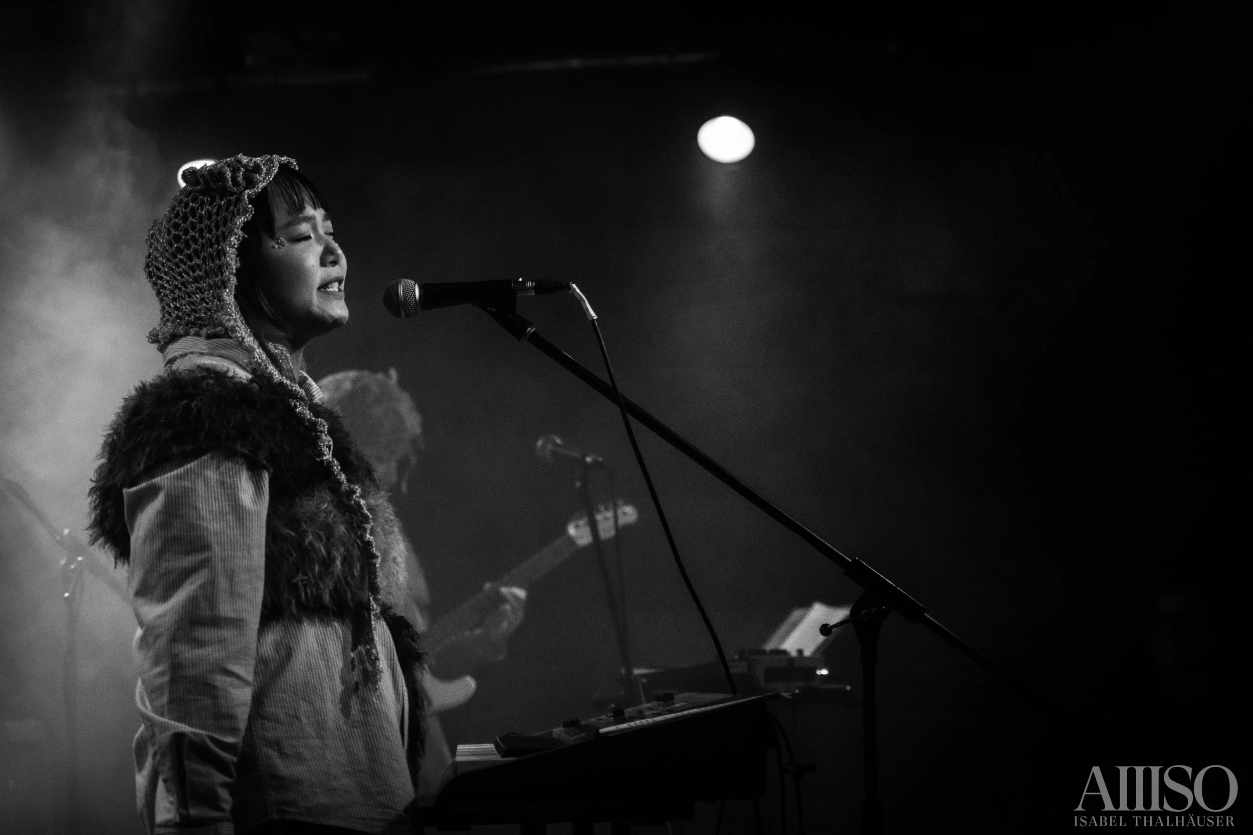 Horizontaler Gentransfer-3.jpg