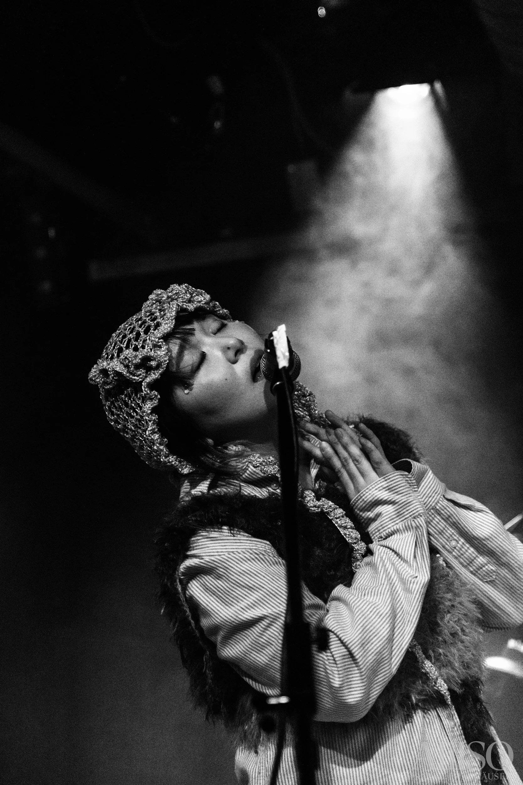 Horizontaler Gentransfer-16.jpg