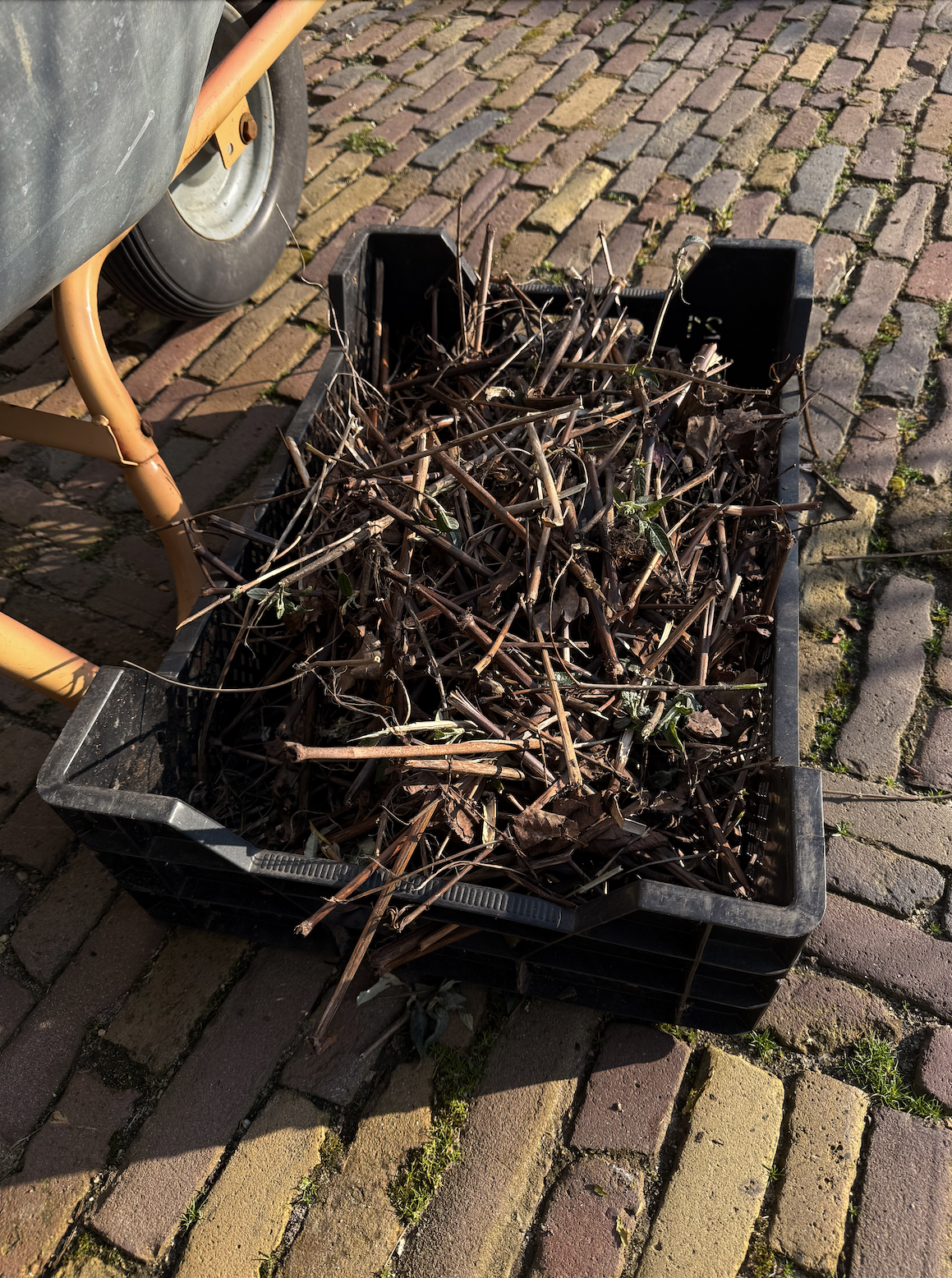 Compost op klei- en zandgrond.